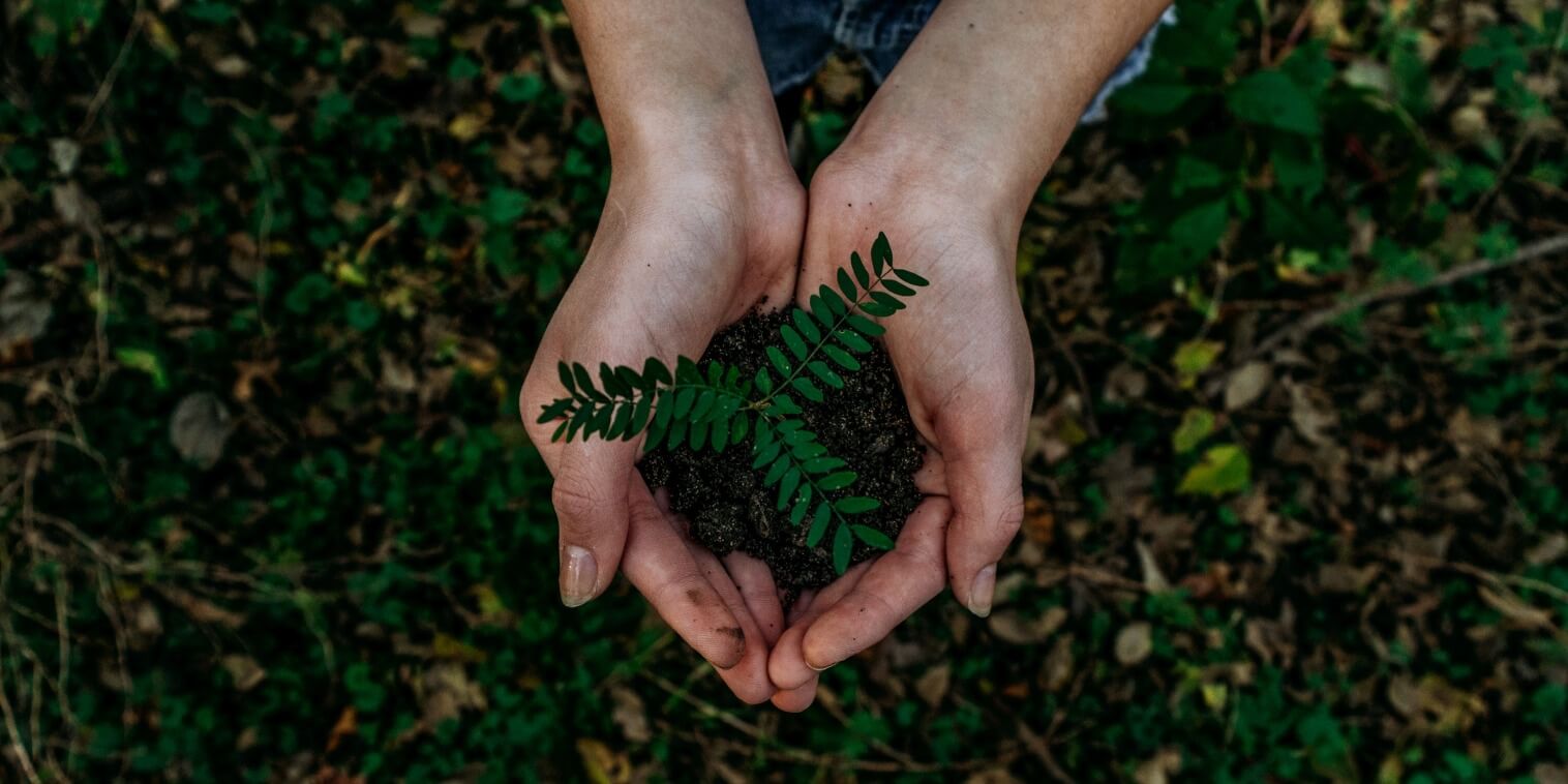 Through a More Sustainable Consumer Ecosystem Feature