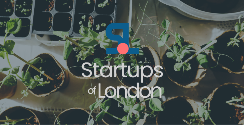 Cultivate Your Green Thumb: Top Gardening Apps in the UK
