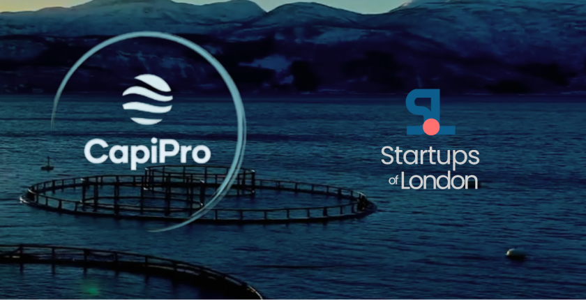 Sustainable Fish Farming