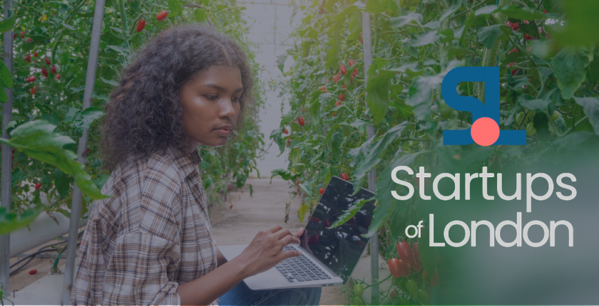 Terrantic: Revolutionizing the Fresh Produce Industry with Data-Driven Solutions